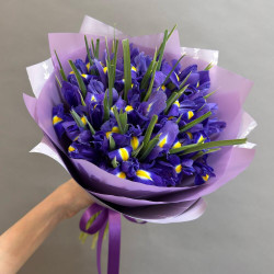 Букет из 19 ирисов