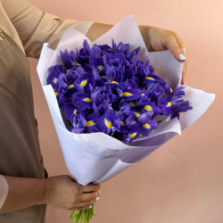 Букет из 25 синих ирисов